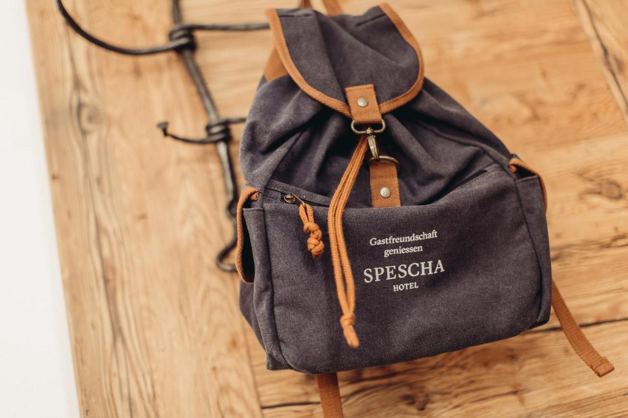 Hotel Spescha Lenzerheide Zewnętrze zdjęcie