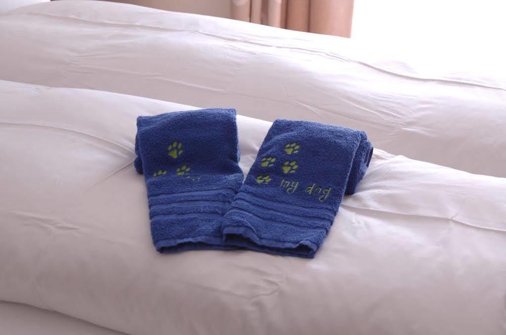 Hotel Spescha Lenzerheide Zewnętrze zdjęcie
